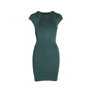 Alexander Wang Cap Sleeve Bodycon Dress in Green Viscose